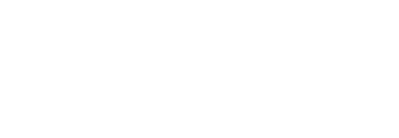 Rigid Auto Care 駿馬車行